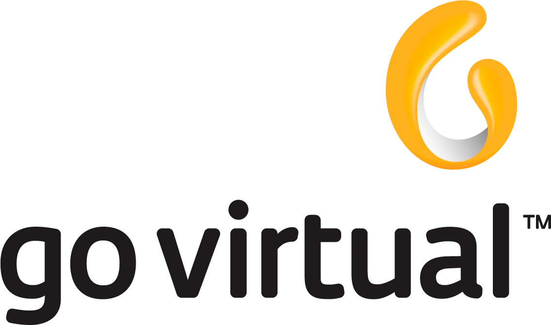 GoVirtualMx Logo